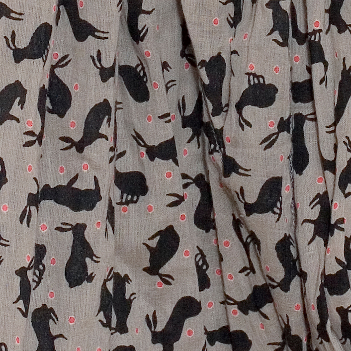 Hare Grey