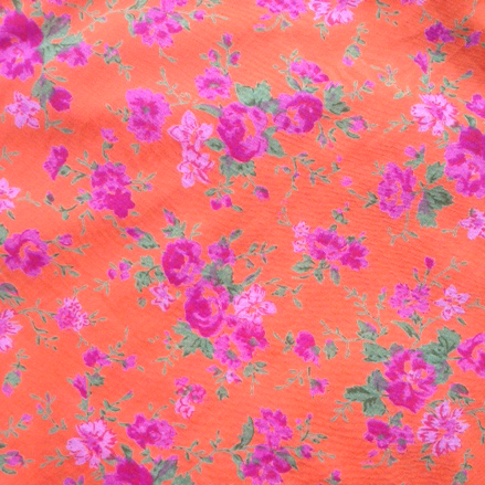 Rambling Rose Orange